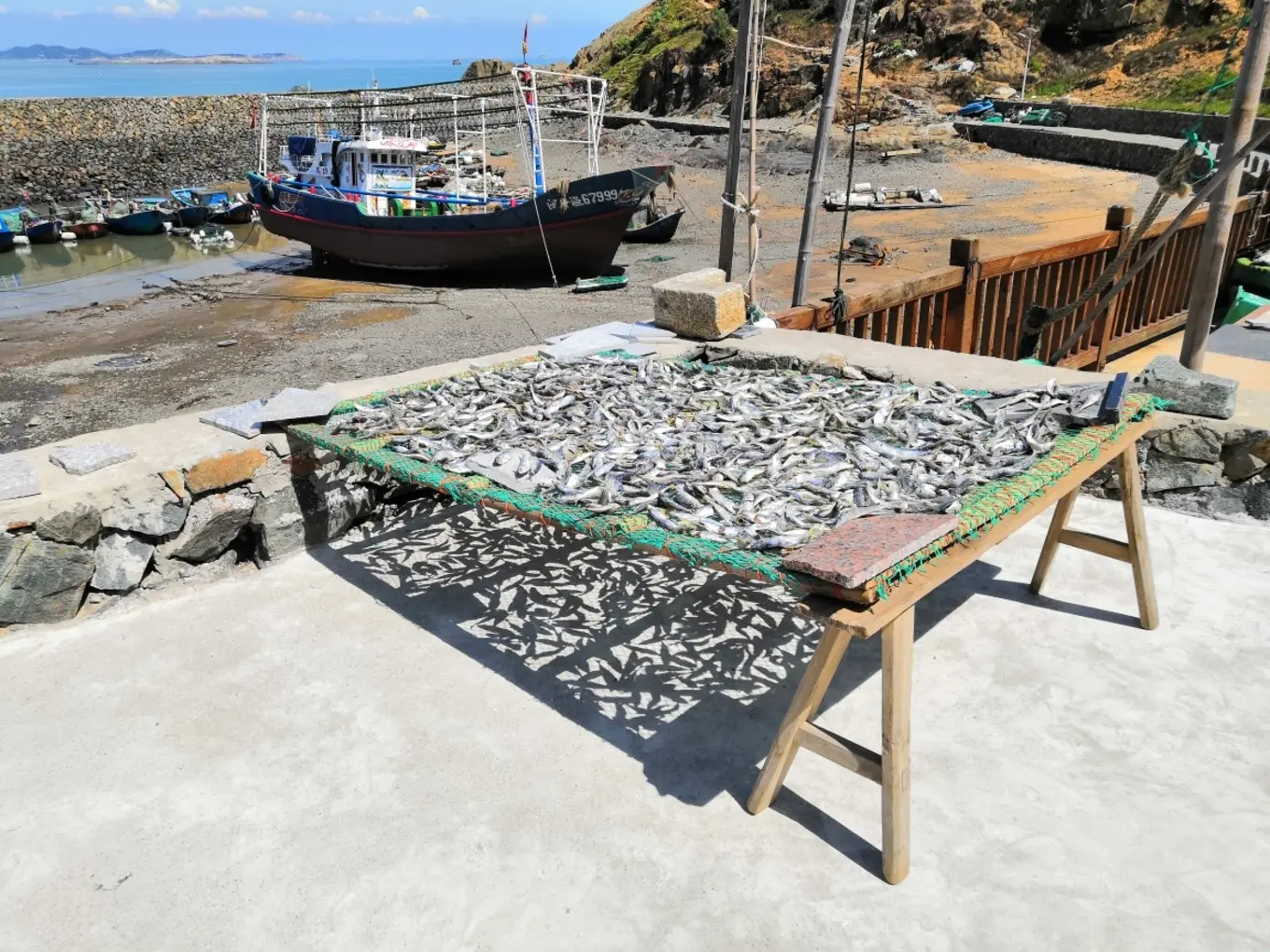 出海打鱼要学多久技术 出海打鱼要学多久驾照