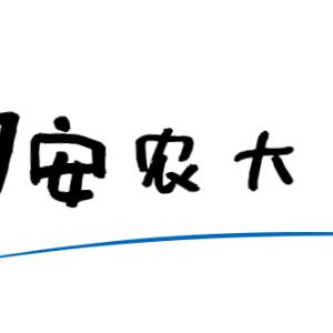 合肥房地产价格相关长尾关键词有哪些