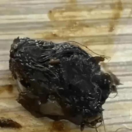 1984生肖女生鼠运势(1984属鼠女在2021的全年运势)