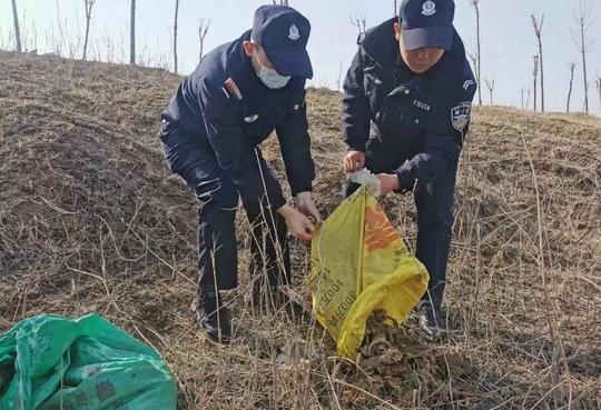 菏泽成武：涉嫌刑事犯罪！夫妻二人捕捉蟾蜍落法网
