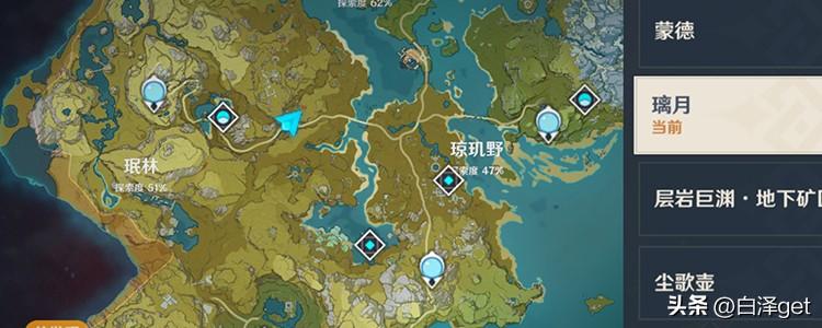 原神池子的神瞳怎么拿（鸣神大社右上方的神瞳怎么拿）