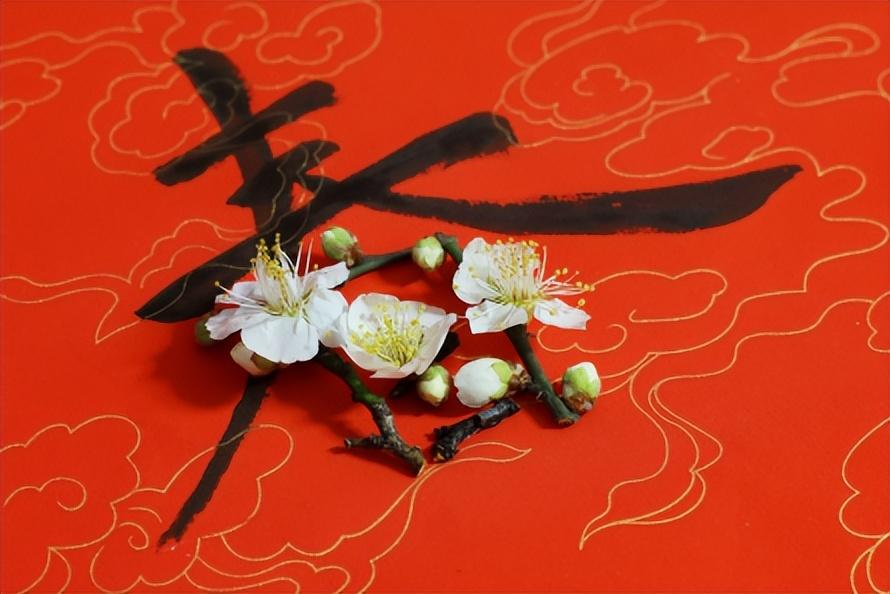 美食龙珠是什么动漫（龙珠中龟仙人三百多岁是因为他喝过长生不死药）