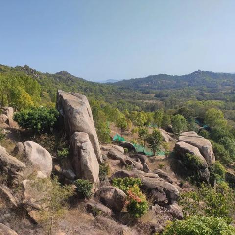 厦门市东坑村在哪里