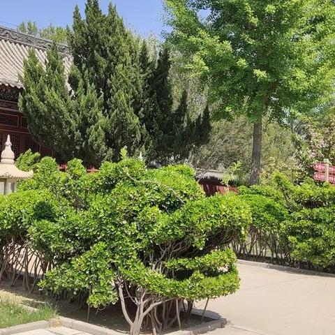石家庄市距离正定多远的长尾关键词有哪些