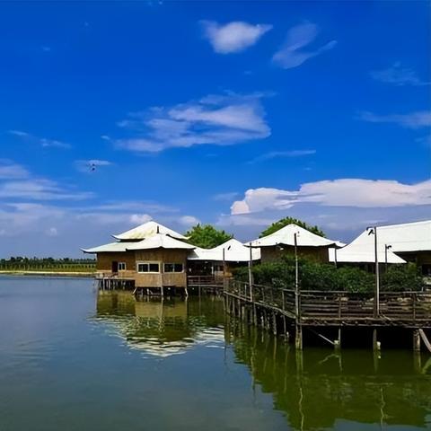 广州市有多少名非遗传人