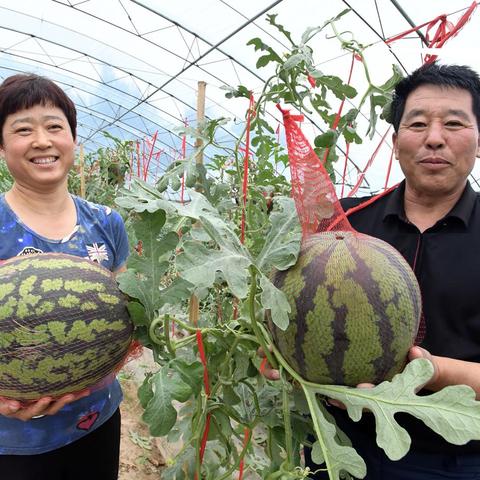 沈阳手工活外发相关长尾关键词有哪些