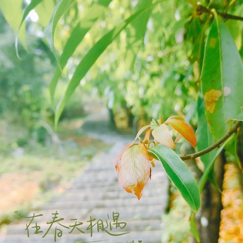 福州为什么雨多