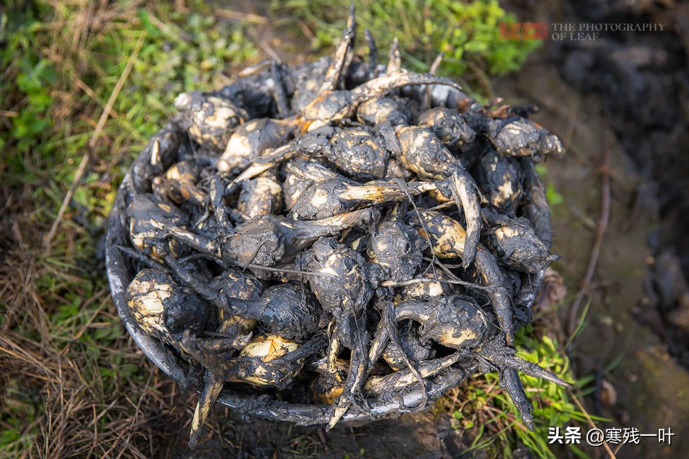 过年回家拍摄什么美食（今年过年想给父母妻儿做一桌年夜饭）