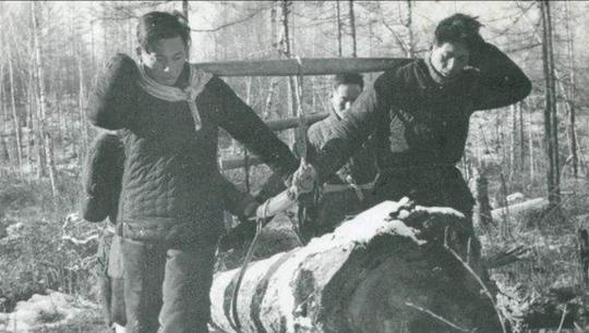 1963年，伐木工在山中捡到一枚印章，公安询问后调3卡车兵力搜山