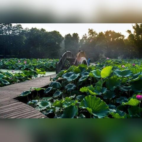 武汉市哪个公园好玩儿的