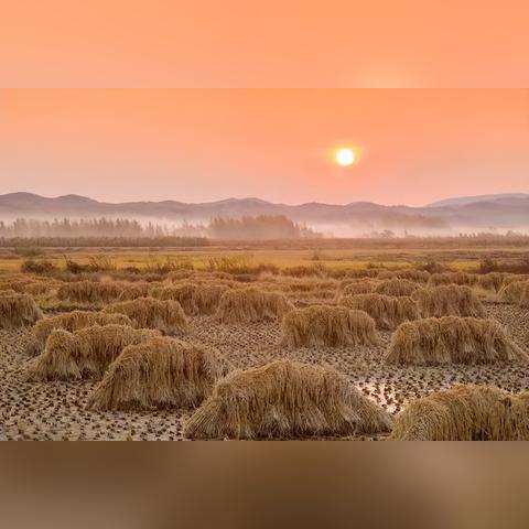 哈尔滨到绥化客车多少钱相关长尾关键词有哪些