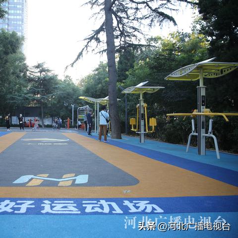 河北省石家庄市省体育馆的长尾关键词有什么