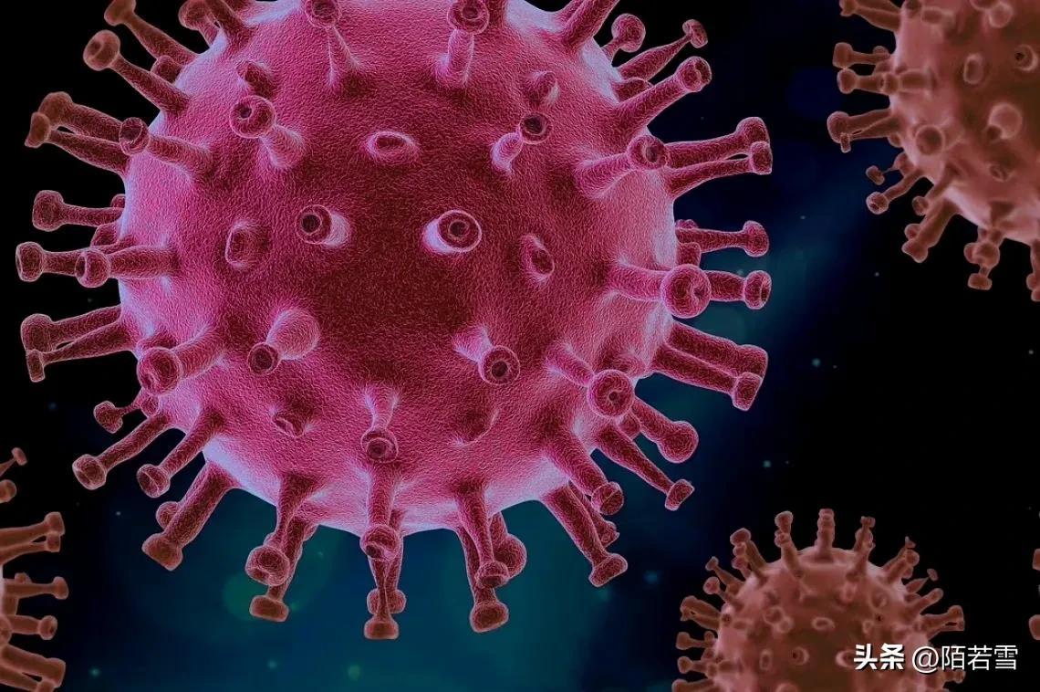 多地通报新冠感染高峰已过
(新冠感染消息) 多地通报新冠感染高峰已过
(新冠感染消息)