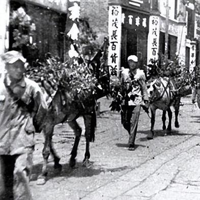 神秘特工是什么电影