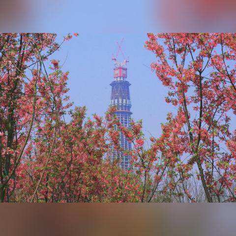成都市三圣乡有地铁吗的长尾关键词有哪些