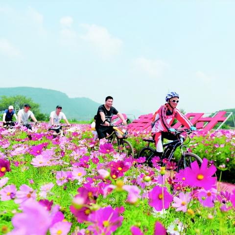 桂林 格桑花相关长尾关键词有哪些
