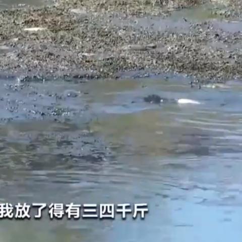 哈尔滨鱼塘都在哪里相关长尾关键词有哪些