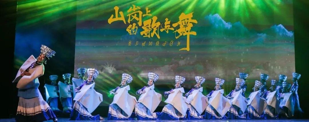 雨燕直播体育,体育迷的云端盛宴,激情与梦想的实时传递雨燕直播体育在线观看免费