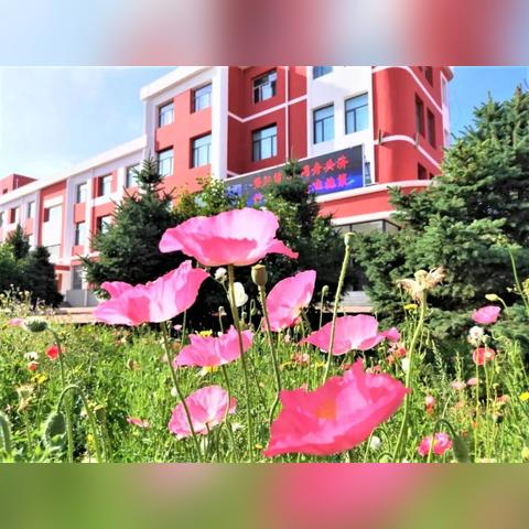 兰州业余足球的相关长尾关键词有哪些