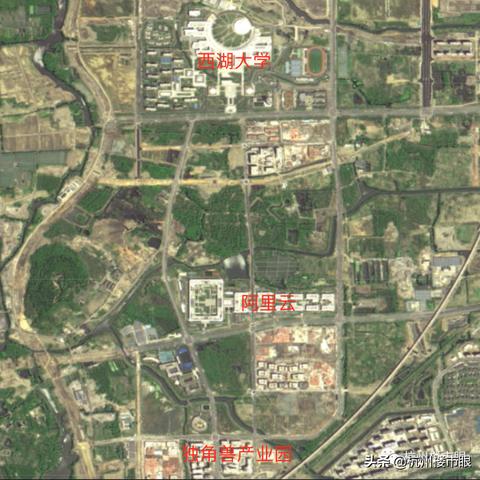 杭州初中教材是什么版本2022？