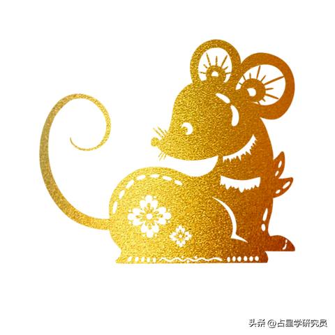 1972生肖运势排名表(1972生肖运势排名表格)