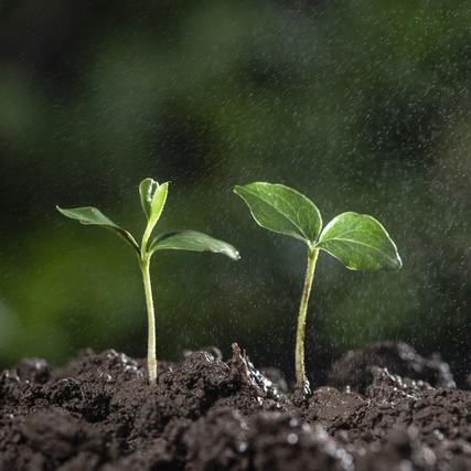 5月6日 哈尔滨 大雨相关长尾关键词有哪些