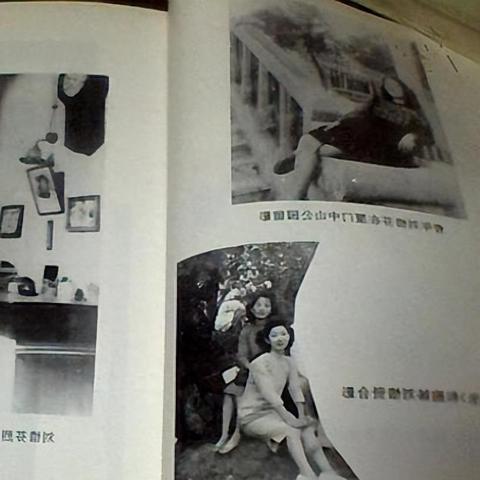 猫咪找领养厦门的相关长尾关键词有哪些