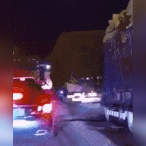 西安市哈士奇什么价格
