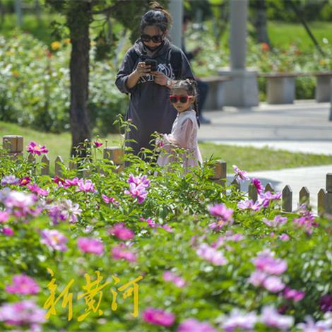 济南哪里卖人工草皮相关长尾关键词有哪些