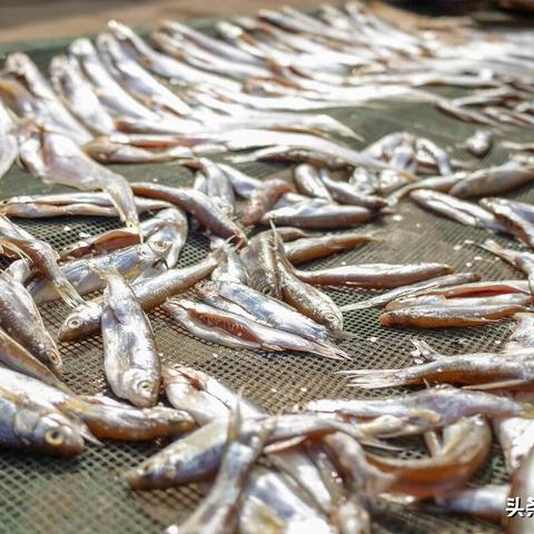 福州上街有什么好玩景点？