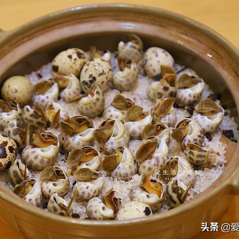 2025.12.7南宁今日最新油价查询