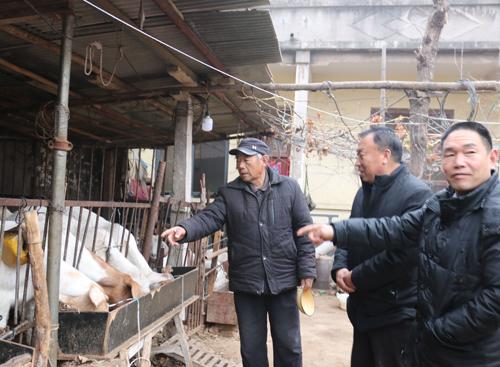 养羊创业，给投资者5点建议，涉及养羊的方方面面