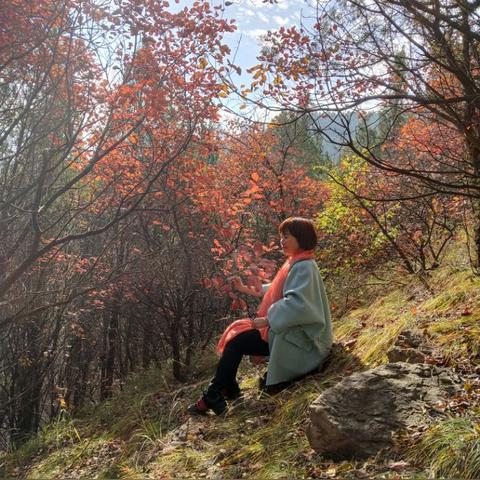 瓜干酒临沂市的长尾关键词有什么