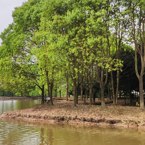 农业生态园挣钱吗？