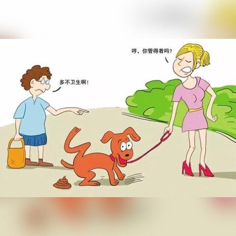 无锡市养狗证去哪里办理