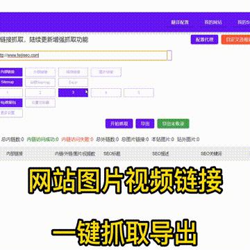 seo怎么设选-seo怎么设选