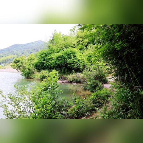 宁波市哪个水库最大