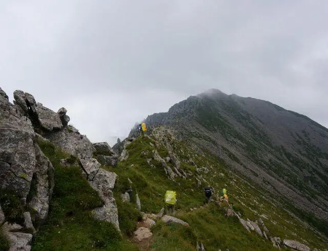 上海白领体检异常率99%是真的吗 上海白领体检异常率99%是真的吗