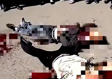 哈尔滨特大杀案相关长尾关键词有哪些