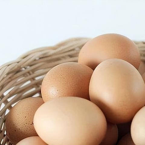 天津元素护航怎么样