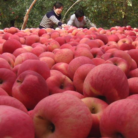 肝脏不好吃什么