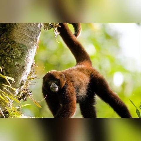 广州香港距离相关长尾关键词有哪些