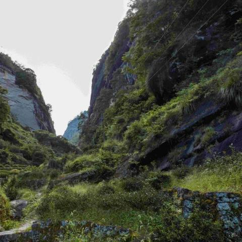 福建黄冈女生怎么样