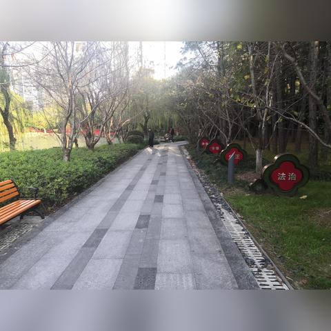 福建75plus怎么样