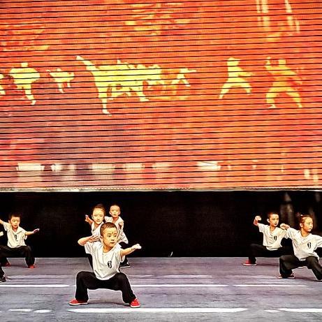 成都市散打武馆有哪些地方