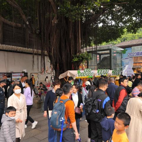 福建霞浦的名人的相关长尾关键词有哪些