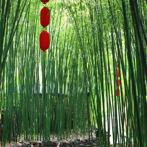 临沂市泉水的长尾关键词有哪些