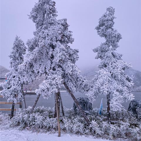冬奥会 桂林旅游公司相关长尾关键词有哪些