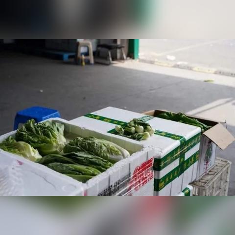 【兰州今日菜价】2025年5月8日兰州菜价是多少