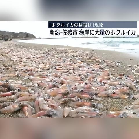 福建水泵水流开关的相关长尾关键词有哪些